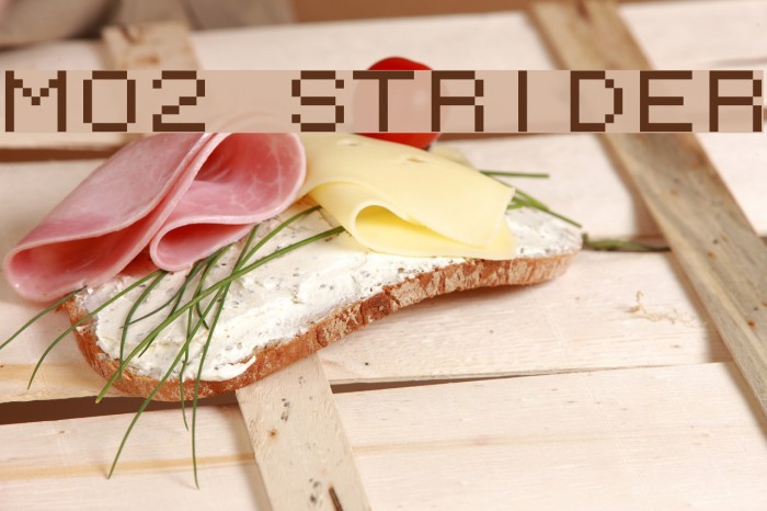 M02_STRIDER Font examples