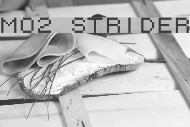 M02_STRIDER Example 1