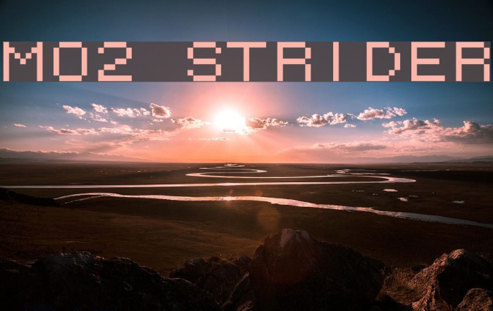 M02_STRIDER Font examples