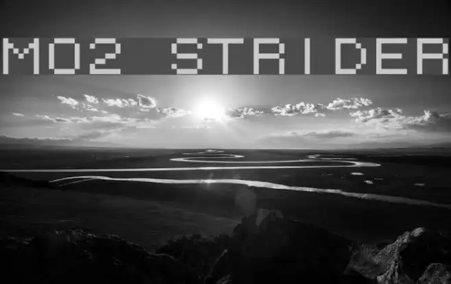 M02_STRIDER Example 2