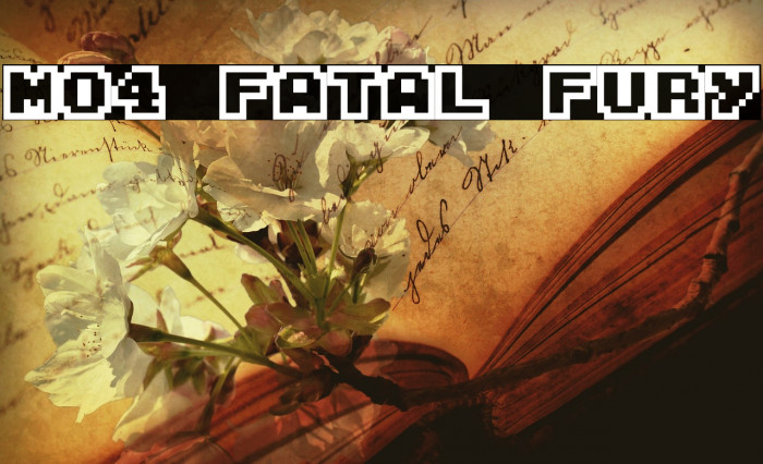 M04_FATAL FURY Font examples
