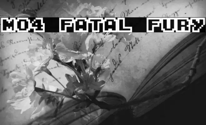 M04_FATAL FURY Fuentes examples