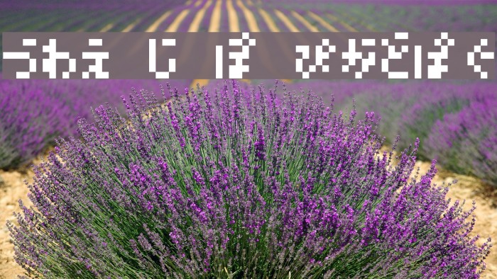 M05_DOKOITSU H Example 1