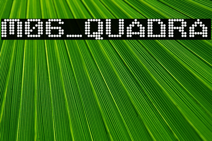 M06_QUADRA フォント examples