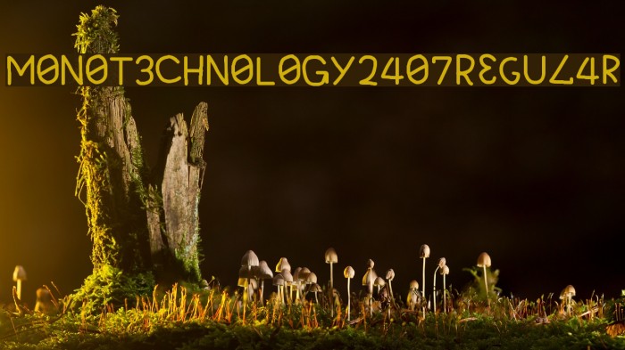 M0N0T3CHN0L0GY2407 Regular Font examples