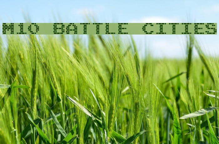 M10_BATTLE CITIES Font examples