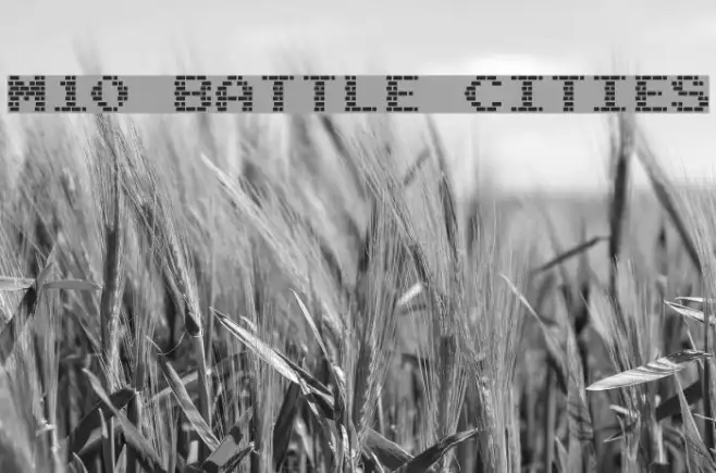 M10_BATTLE CITIES Example 3
