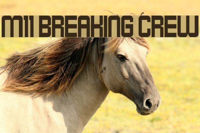 M11_BREAKING CREW Font examples