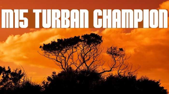 M15_TURBAN CHAMPION Font examples