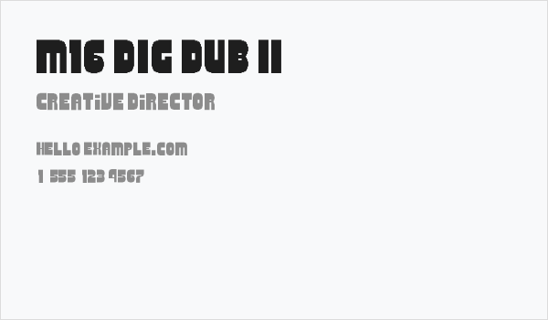 M16_DIG DUB II Business Card