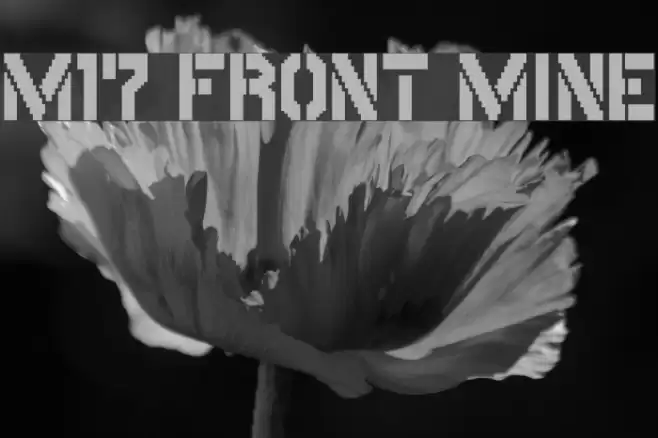 M17_FRONT MINE Font examples