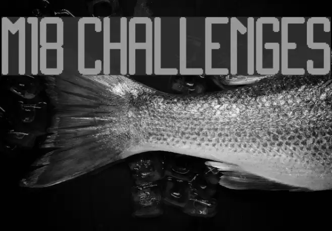 M18_CHALLENGES Font examples