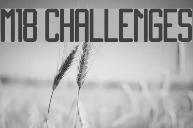 M18_CHALLENGES Font examples