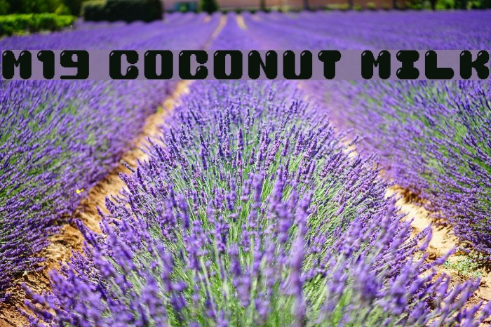 M19_COCONUT MILK フォント examples