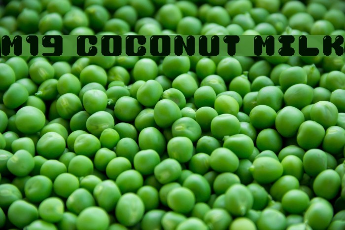 M19_COCONUT MILK フォント examples