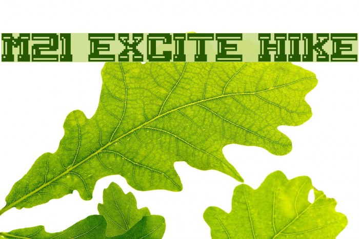 M21_EXCITE HIKE Font examples