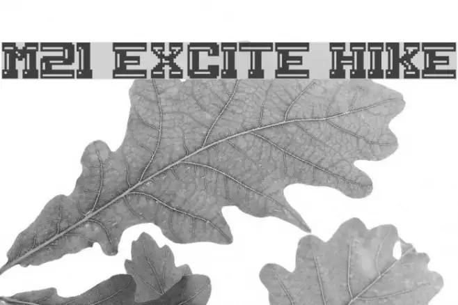 M21_EXCITE HIKE Example 1