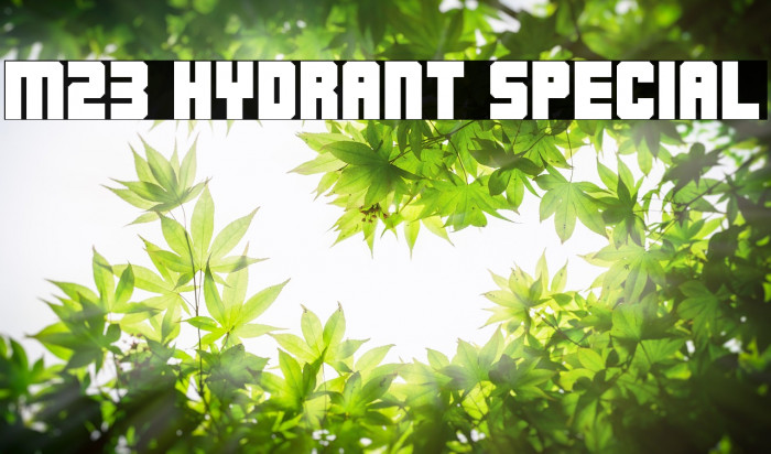 M23_HYDRANT SPECIAL Font examples