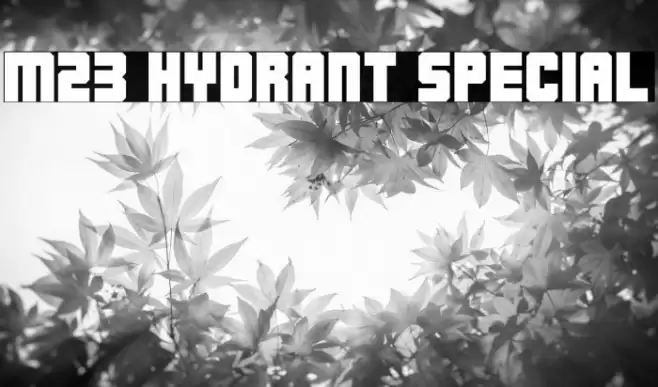 M23_HYDRANT SPECIAL خط examples