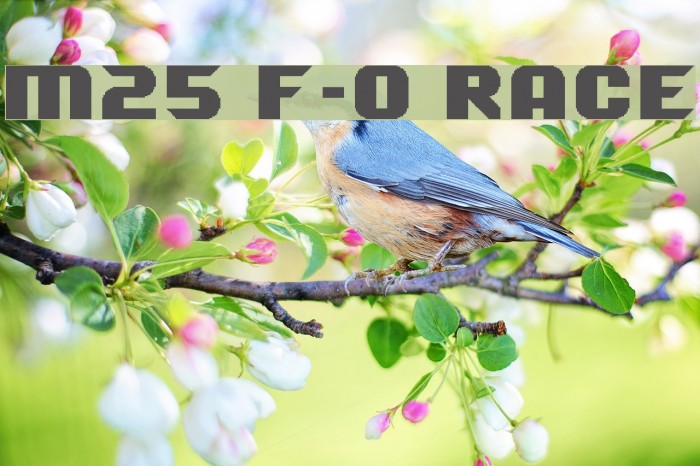 M25_F-0 RACE Font examples