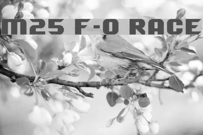 M25_F-0 RACE Example 2