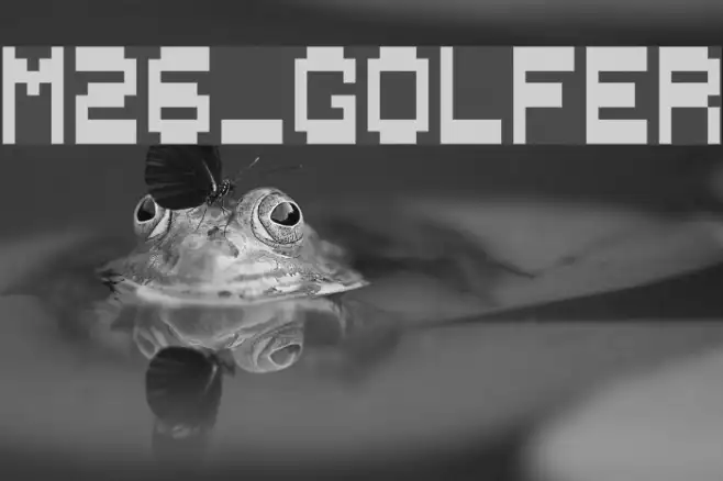 M26_GOLFER Example 2