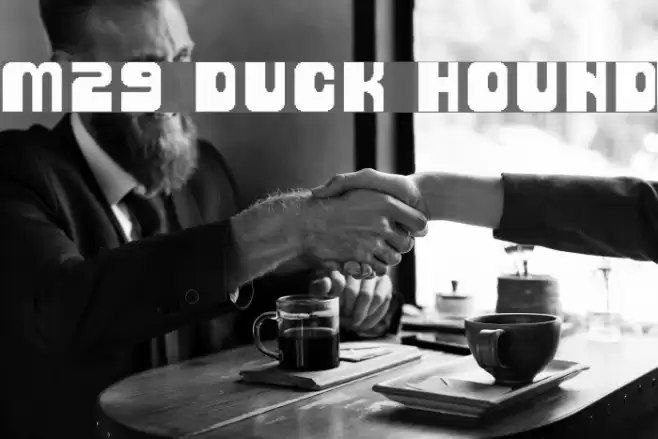 M29_DUCK HOUND Font examples