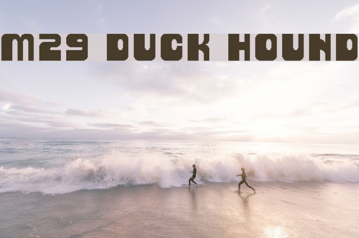 M29_DUCK HOUND Font examples