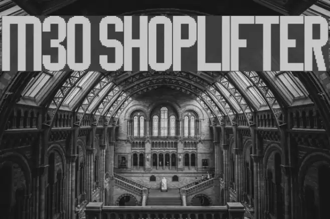 M30_SHOPLIFTER Caratteri examples