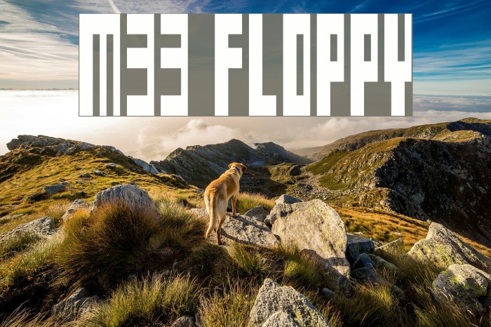 M33_FLOPPY Шрифта examples