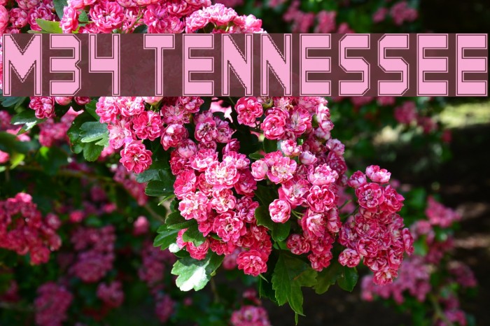 M34_TENNESSEE Font examples