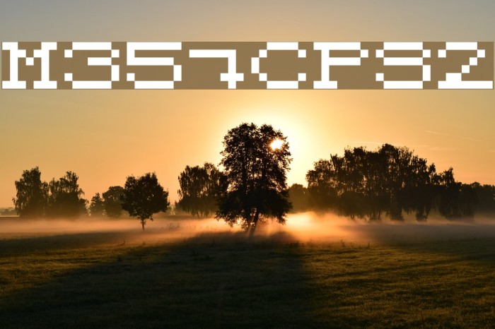 M35_CPS2 Schriftart examples
