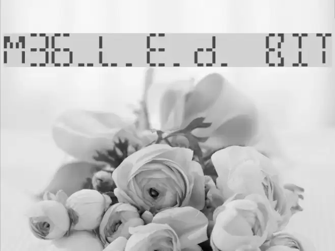 M36_L.E.D. BIT Font examples