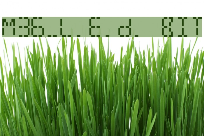 M36_L.E.D. BIT फ़ॉन्ट examples