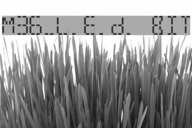 M36_L.E.D. BIT Font examples