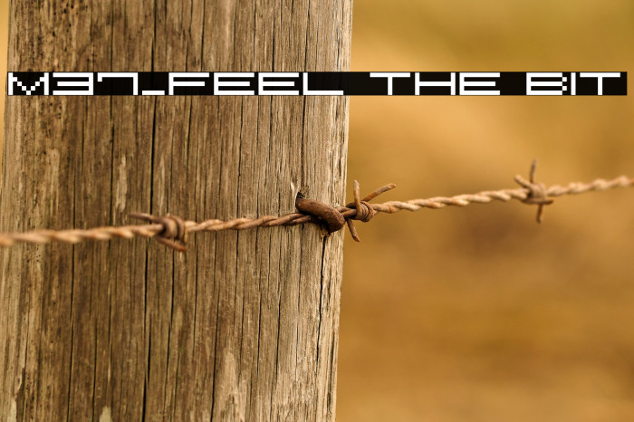 M37_FEEL THE BIT Font examples