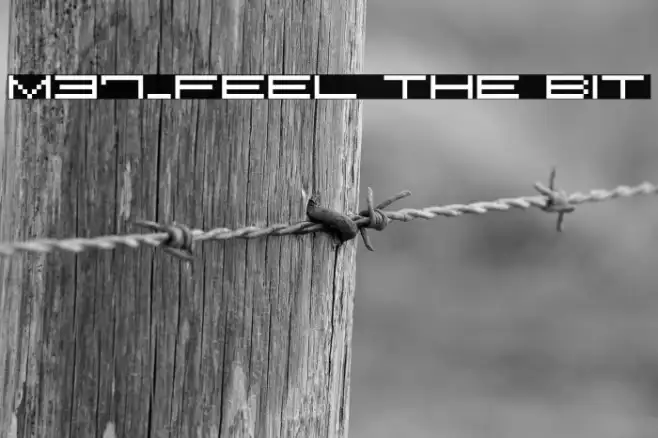 M37_FEEL THE BIT Example 3
