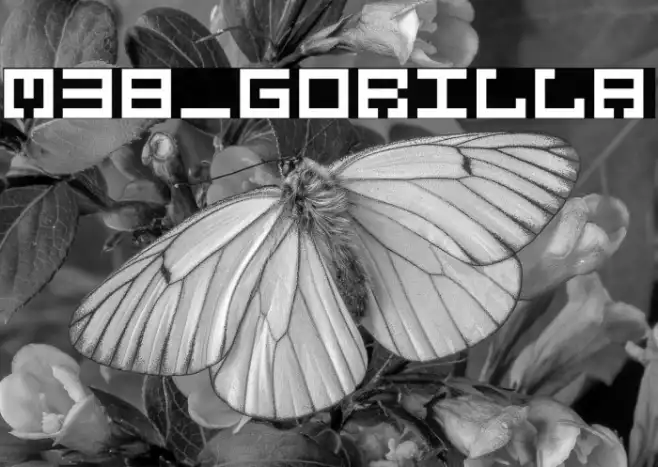 M38_GORILLA Example 3