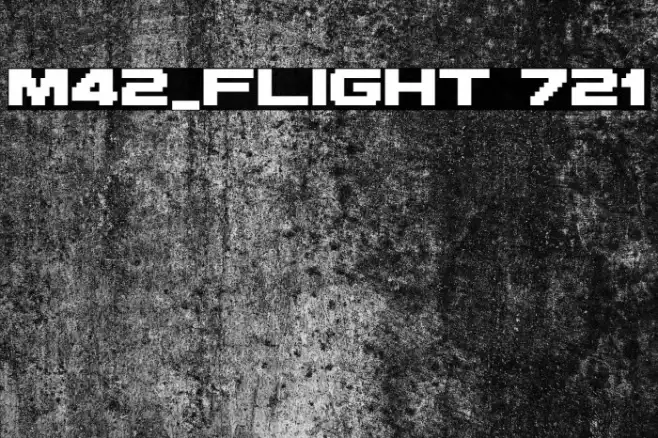 M42_FLIGHT 721 Example 2