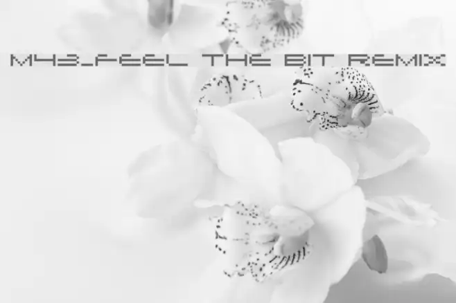 M43_FEEL THE BIT REMIX Example 3