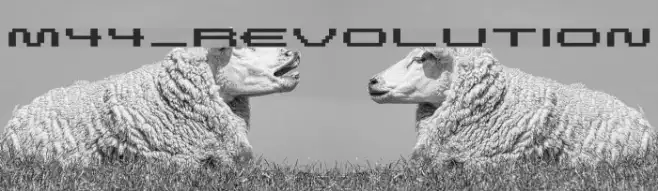 M44_REVOLUTION Example 2