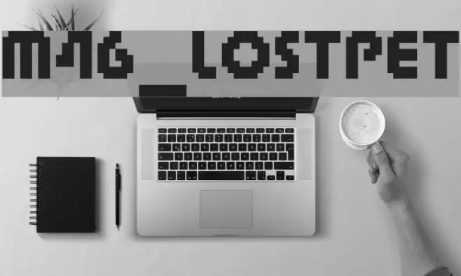 M46_LOSTPET Example 2