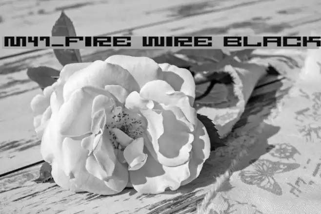 M47_FIRE WIRE BLACK خط examples