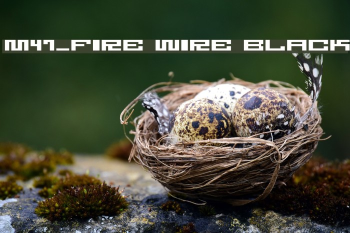 M47_FIRE WIRE BLACK Font examples