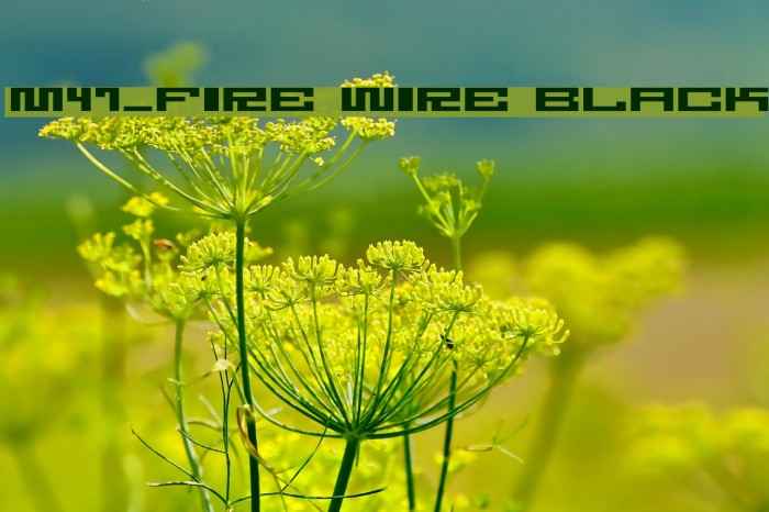 M47_FIRE WIRE BLACK Font examples