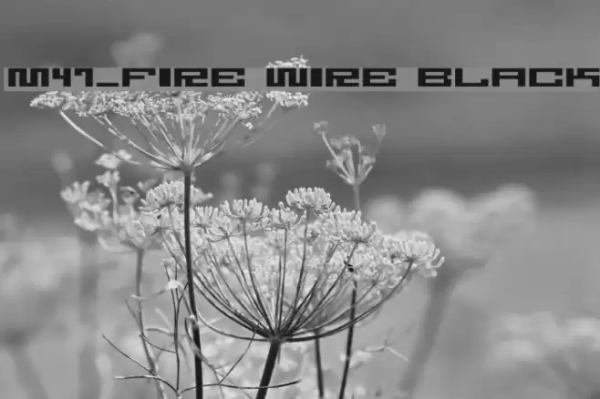 M47_FIRE WIRE BLACK خط examples