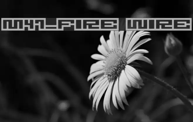 M47_FIRE WIRE Schriftart examples