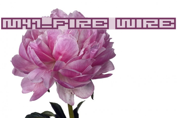 M47_FIRE WIRE Font examples