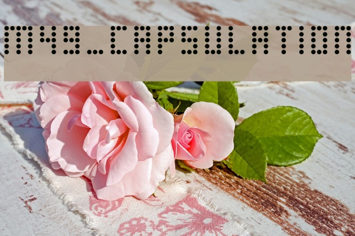 M49_CAPSULATION Font examples