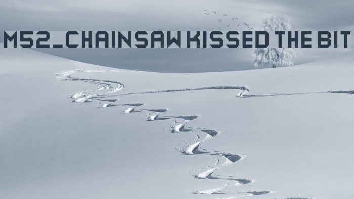 M52_CHAINSAW KISSED THE BIT Example 3